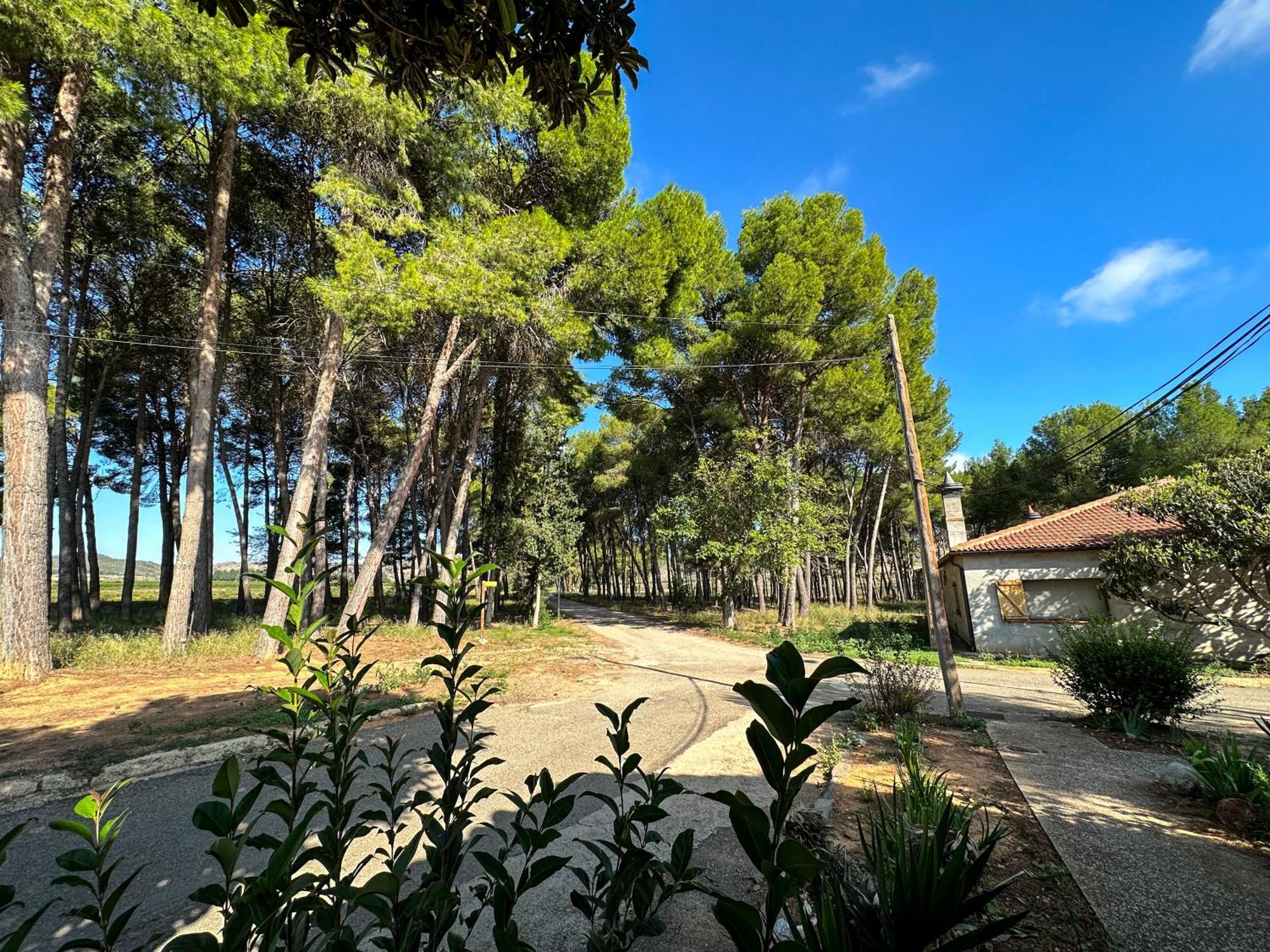 Casa Rural Los Pinos Valmuel 外观 照片