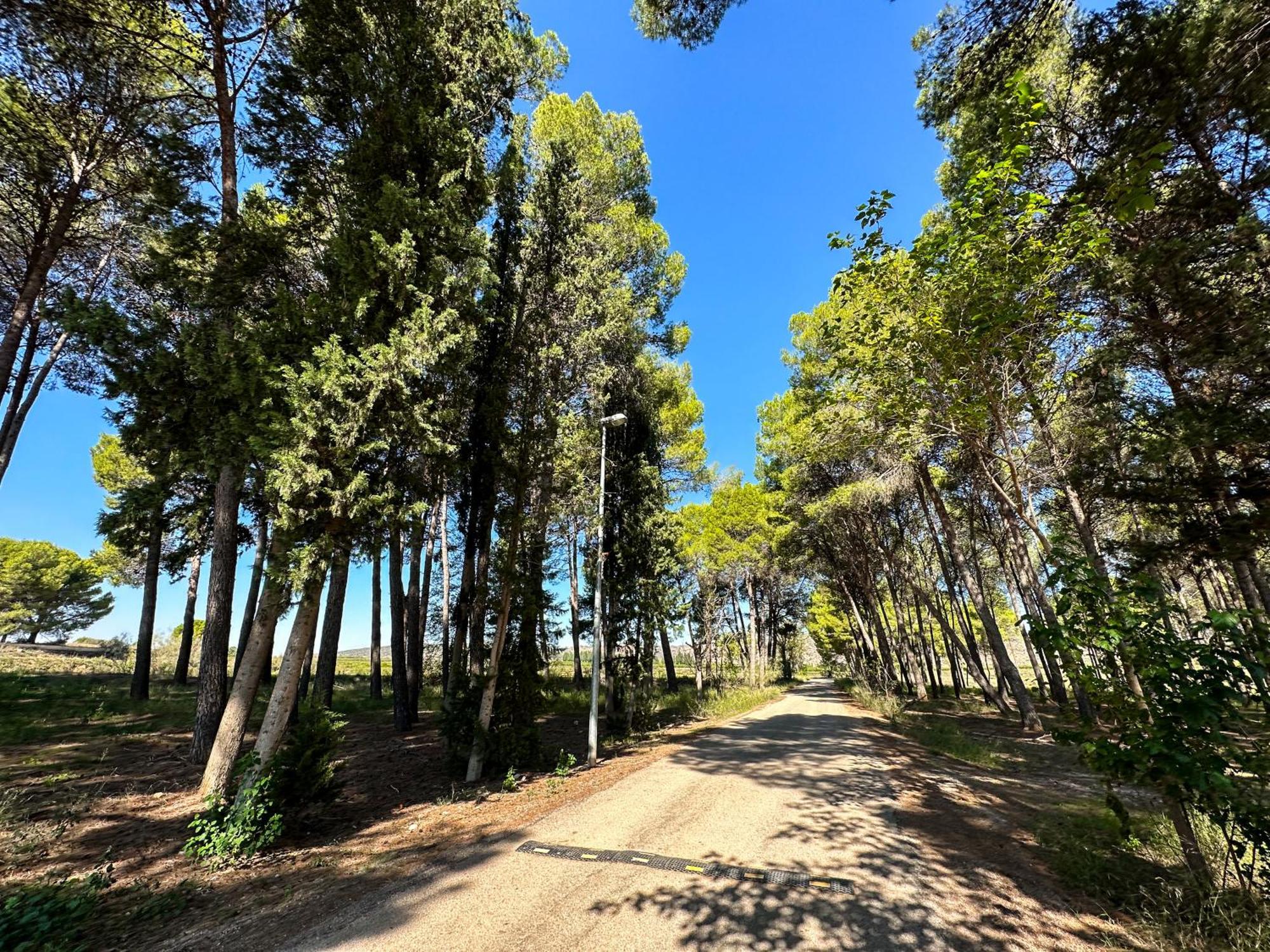 Casa Rural Los Pinos Valmuel 外观 照片