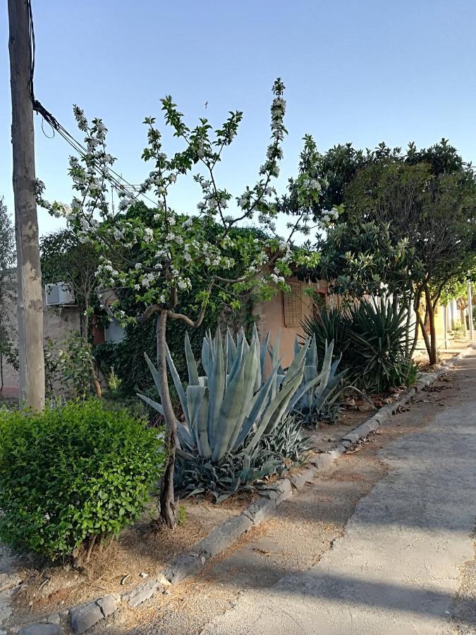 Casa Rural Los Pinos Valmuel 外观 照片